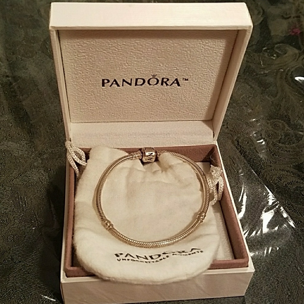 Pandora Silver Charm Bracelet 》》FINAL PRICE DROP
